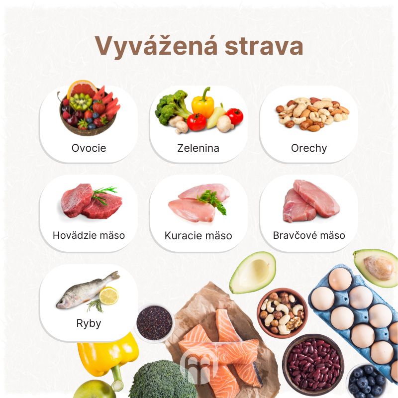 (Slovenčina) - 2024-08-07T131304.528